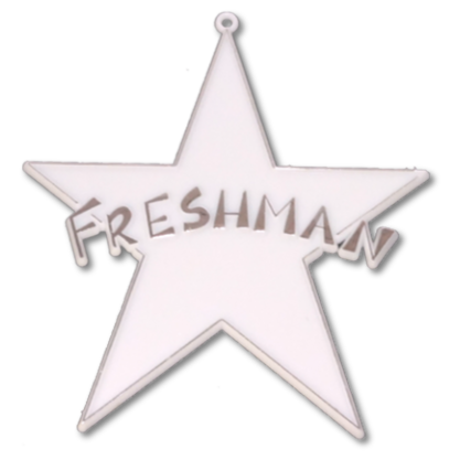 Freshman Star - 4" - Silver - 11 pc. pkg.