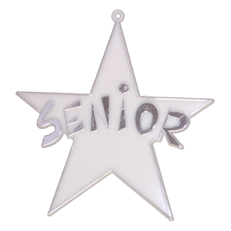 Senior Star - 4" - Silver - 11 pc. pkg.