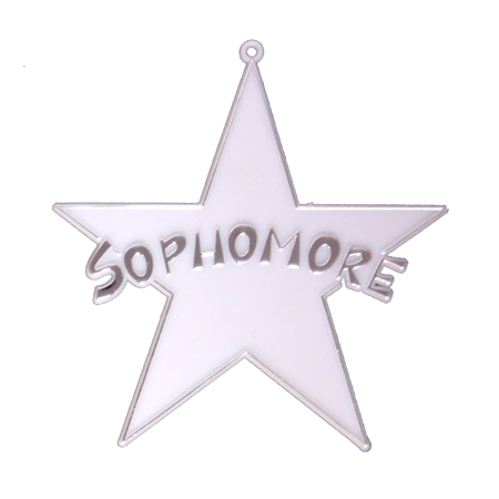 Sophomore Star - 4" - Silver - 14 pc. pkg.