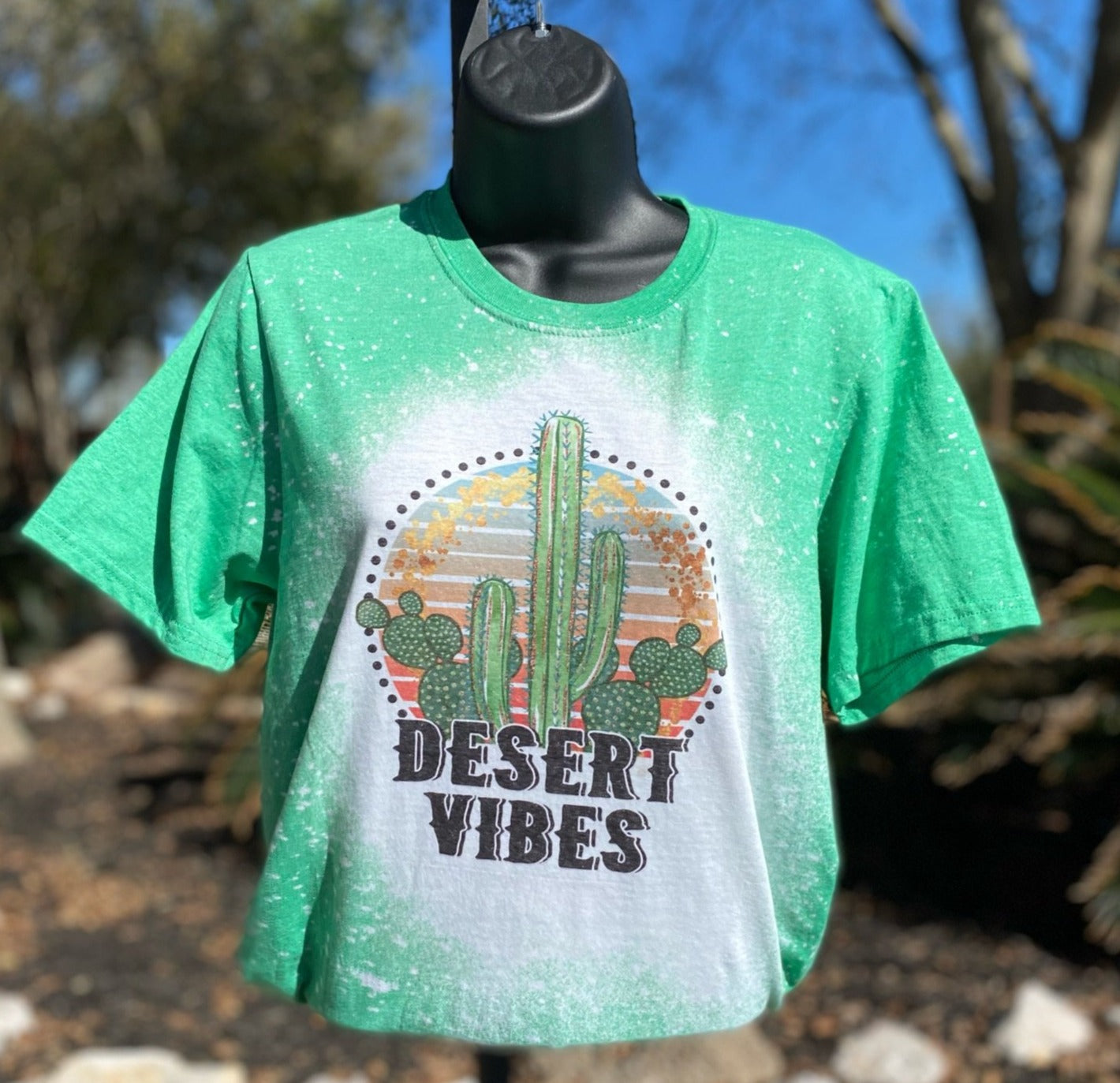 Desert Vibes