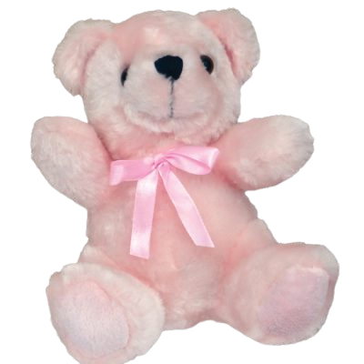 8″ Plush Bear – Baby Pink