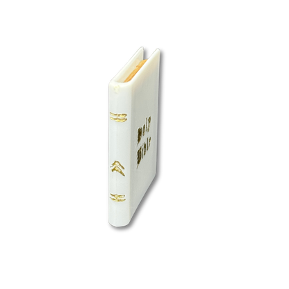 Bible - 39 pc. pkg.