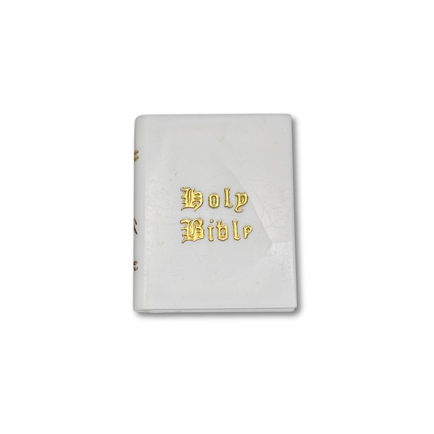 Bible - 39 pc. pkg.