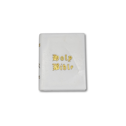 Bible - 39 pc. pkg.