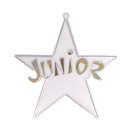Junior Star - 4" - Silver - 14 pc. pkg.