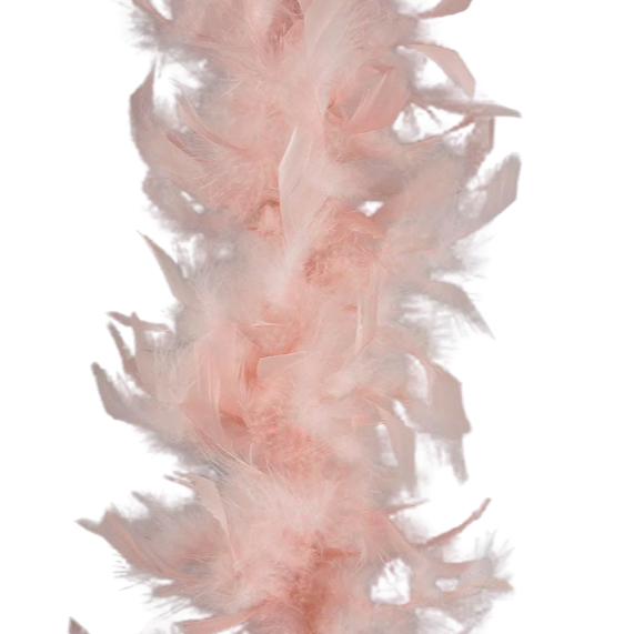 Champagne - Light Weight Feather Boa