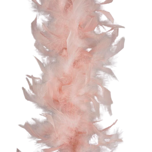 Champagne - Light Weight Feather Boa