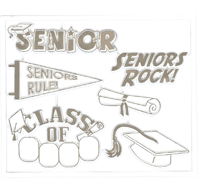 Senior Pack - Silver - 11 pc. pkg.