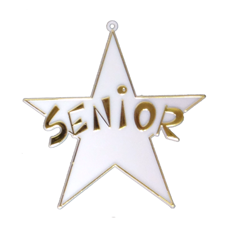 Senior Star - 4" - Gold - 15 pc. pkg.