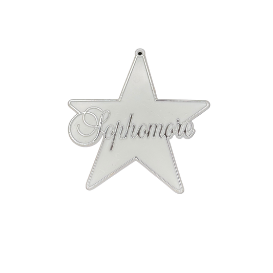 Sophomore Star - 3" - Silver - 14 pc. pkg.