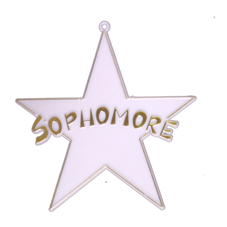 Sophomore Star - 4" - Gold - 10 pc. pkg.