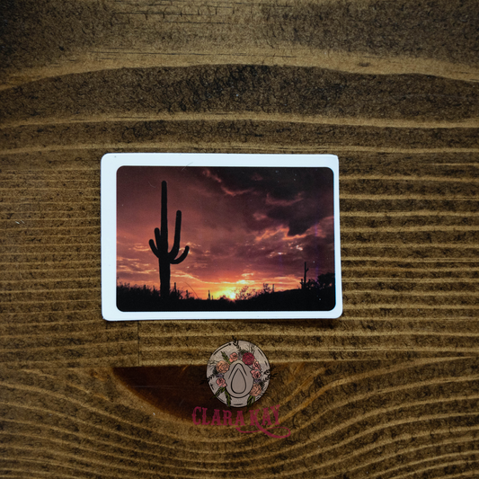 Sunset Cactus-Sticker